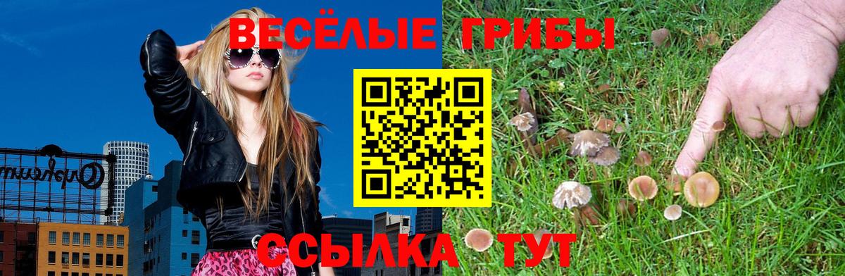 Псилоцибиновые грибы Magic Shrooms Альметьевск