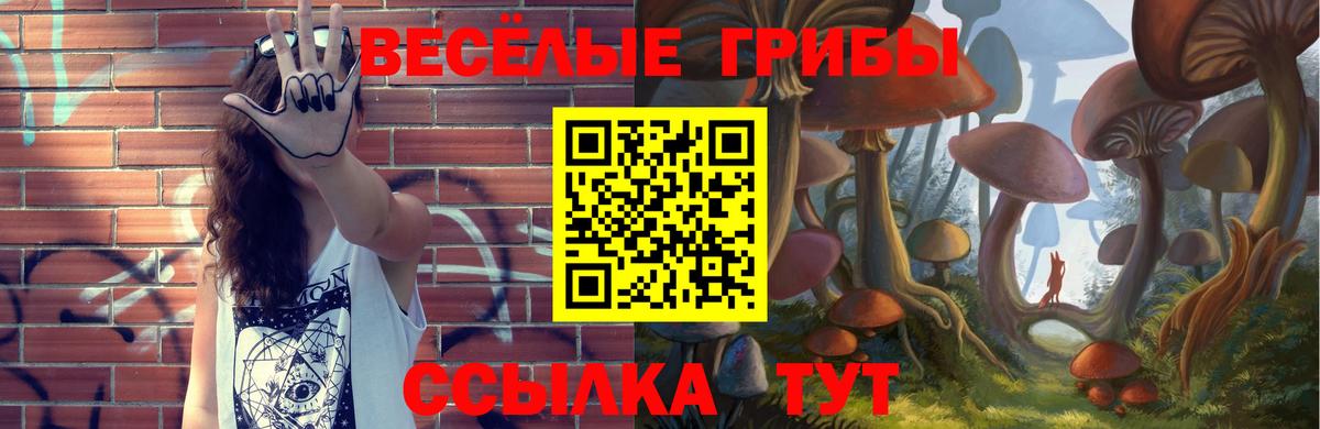 Альметьевск  Псилоцибиновые грибы Cubensis  закладки  Вход с VPN 